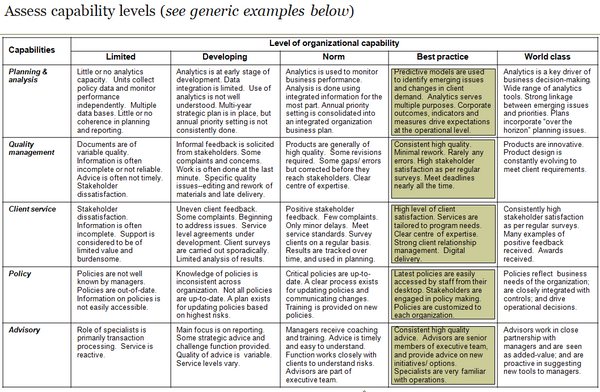 Slide depicting five level assessment of capability levels for each capability.