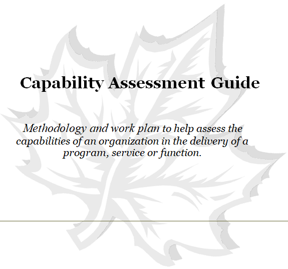 TURNKEY Capability Assessment Guide (Public Sector) Public Management
