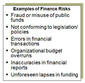 Examples of risks addressed by the finance function.