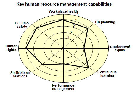 Human Resources Management Organization Design Template (14 slides)