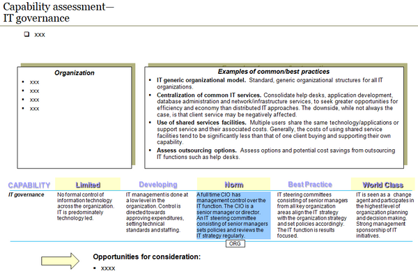 Information Technology Management Capability Assessment Template (30 slides)