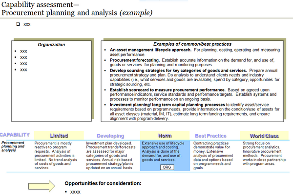 Procurement Capability Assessment Template