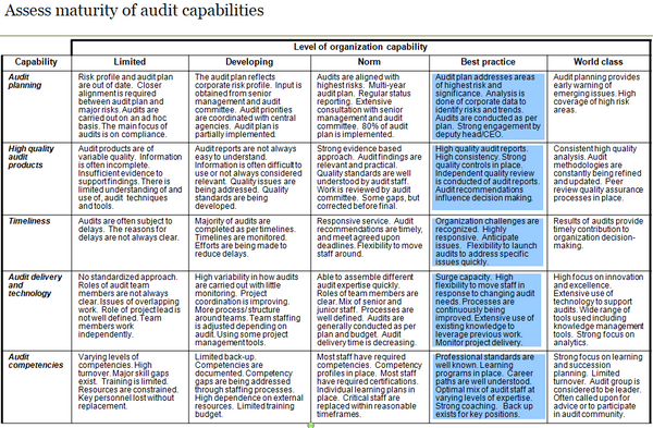 Audit Services Capability Assessment Template (21 slides)