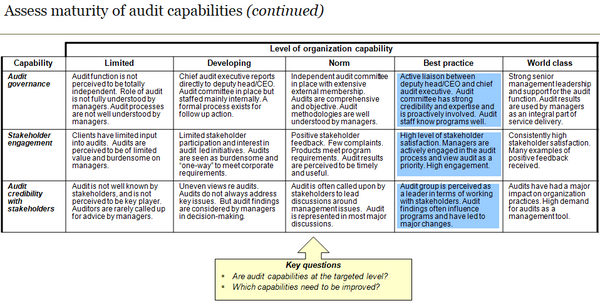 Audit Services Capability Assessment Template (21 slides)