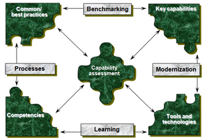 A Tool to Assess the Capabilities of Consulting Organizations