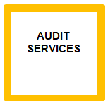 Audit services collection logo.