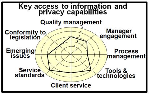 Suggested key capabilities for the access to information and privacy function.