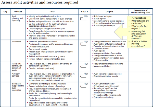 Template to assess internal audit activities, tasks, outputs and resources required.