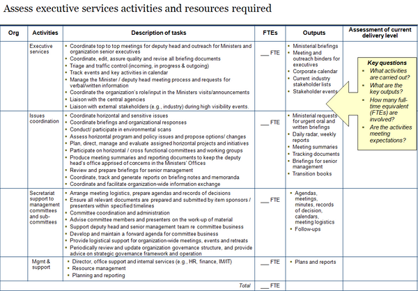 Template to assess executive services activities, tasks, outputs and resources required.