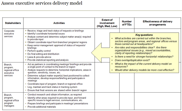 Template to assess the executive services delivery model and delineation of activities at different levels of the organization.