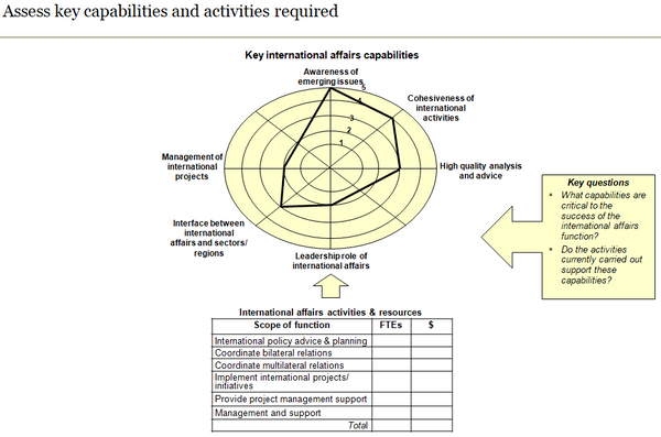 Template to assess key international affairs capabilities and activities required.