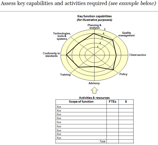 Template to assess key capabilities and activities required.