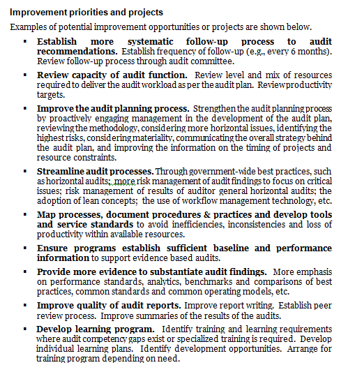 Audit services operational plan template: examples of potential improvement priorities and projects.