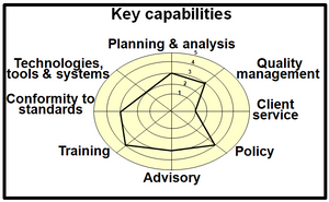 Examples of key strategic capabilities.  These would vary by organization.