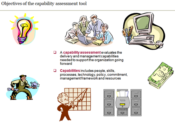 Summary of the objectives of a capability assessment.