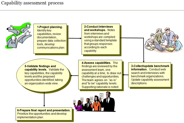 Summary chart of capability assessment process.