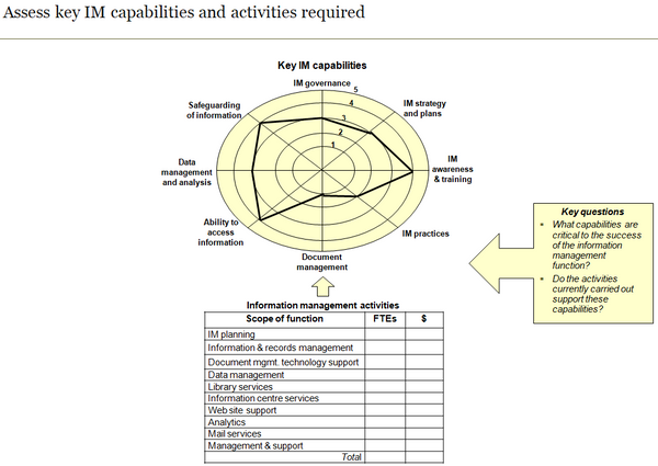Template to identify key information management capabilities and activities required.