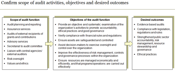 Template to confirm the scope of the internal audit function activities, objectives and desired outcomes.