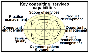 This chart provides examples of key strategic capabilities for a consulting services organization.