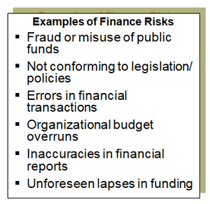 Examples of risks addressed by the finance function.