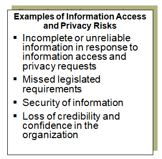 Examples of information access and privacy risks.