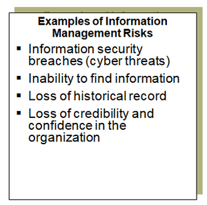 This chart provides examples of risks addressed by the information management function.