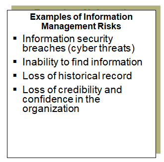 This chart provides examples of risks addressed by the information management function.