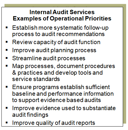 Examples of potential internal audit operational priorities.