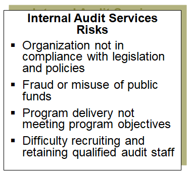 Risk Profiling Tool for the Internal Audit Function - TURNKEY – Public ...