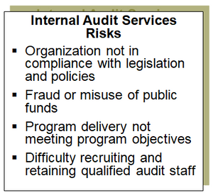 Examples of risks addressed by internal audit services.