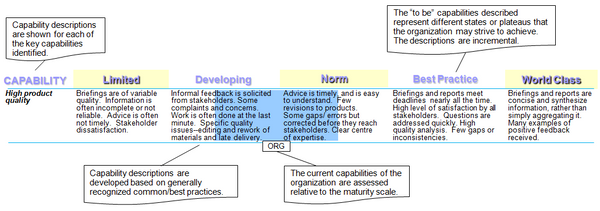 This chart explains how executive services capabilities are assessed using a five level maturity model.