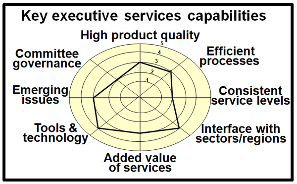 Summary of suggested key capabilities for the executive services function.
