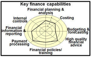 Potential key capabilities for the finance function.