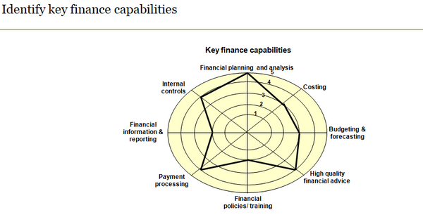 This chart highlights potential key capabilities for the finance function.