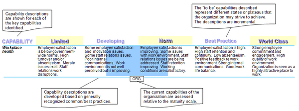 Example of the application of the five level maturity model for a key capability of the human resources management function.