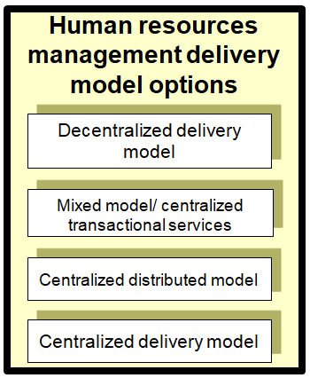 High level summary of human resources management delivery model options.