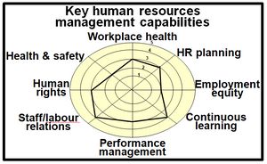 Summary of potential key capabilities for the human resources management function.