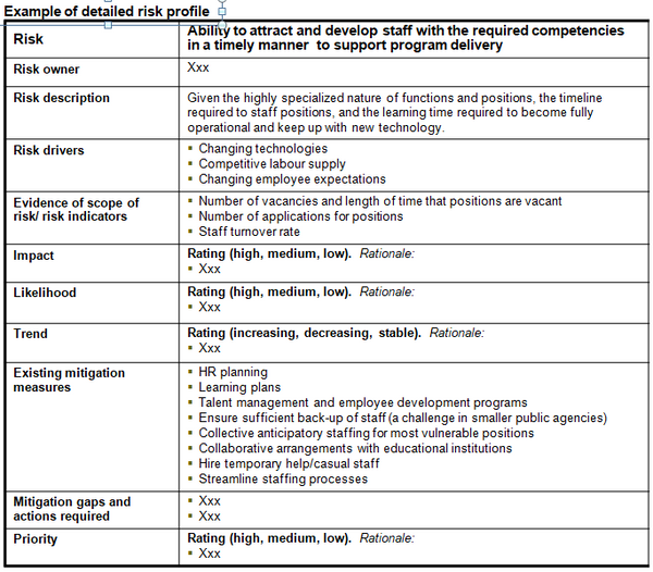 This chart provides an example of the templates for more detailed profiles or descriptions of the human resources management risks identified.