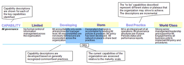 Example of the application of the five level maturity model for a key capability of the information management function.