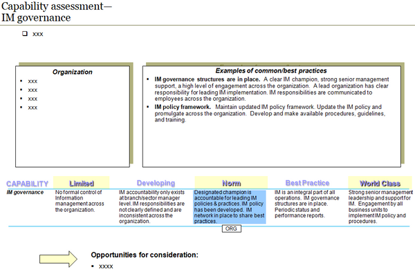 Information Management Capability Assessment Template (29 slides)
