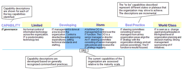 Example of the application of the five level maturity model for a key capability of the information technology management function.