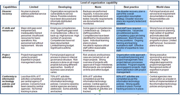 Capability assessment model (page 2) for the information technology management function.