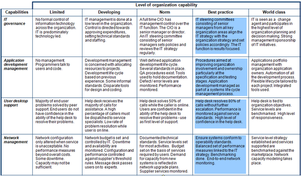 Capability assessment model (page 1) for the information technology management function.