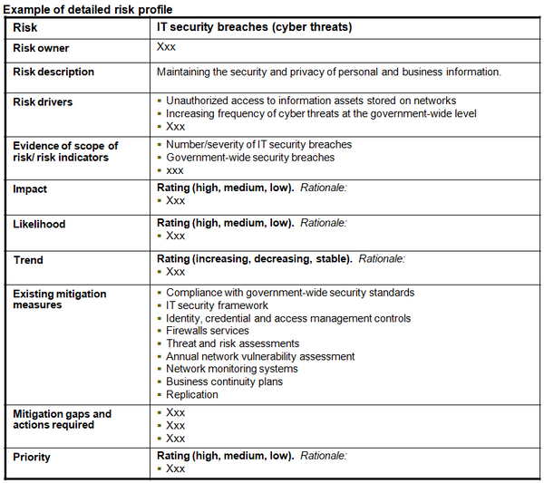 This chart provides an example of the templates for more detailed profiles or descriptions of the information technology management risks identified.