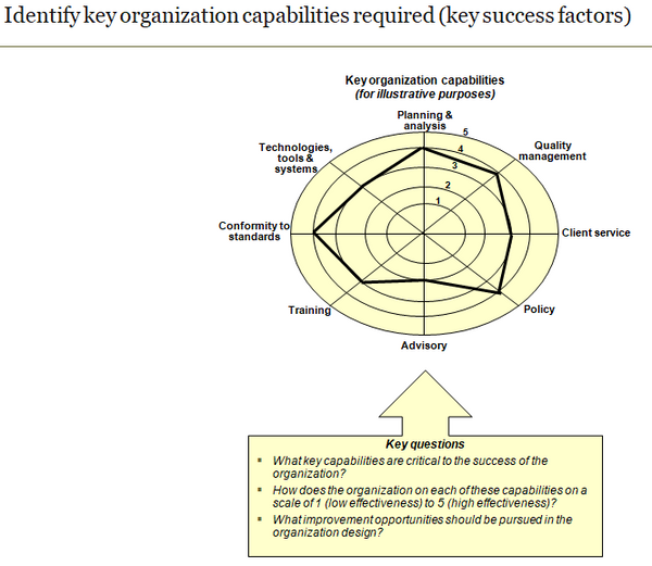Template to identify key organization capabilities required.