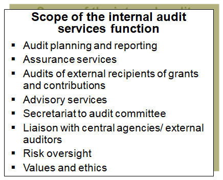 This chart lists examples of potential internal audit activities in the public sector.