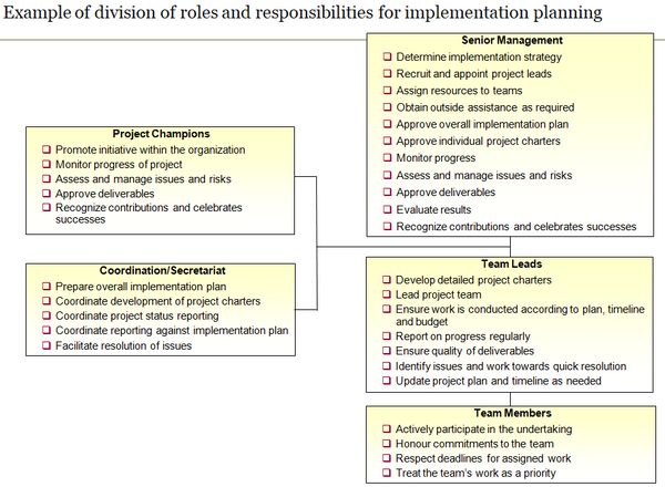 Implementation planning: example of division of roles and responsibilities for implementation.