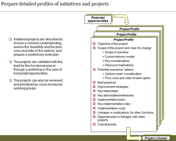 Implementation planning: template to prepare detailed profiles of initiatives/projects.