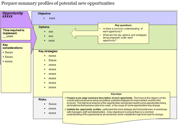 Implementation planning: template to prepare summary profiles of potential new opportunities to be assessed.