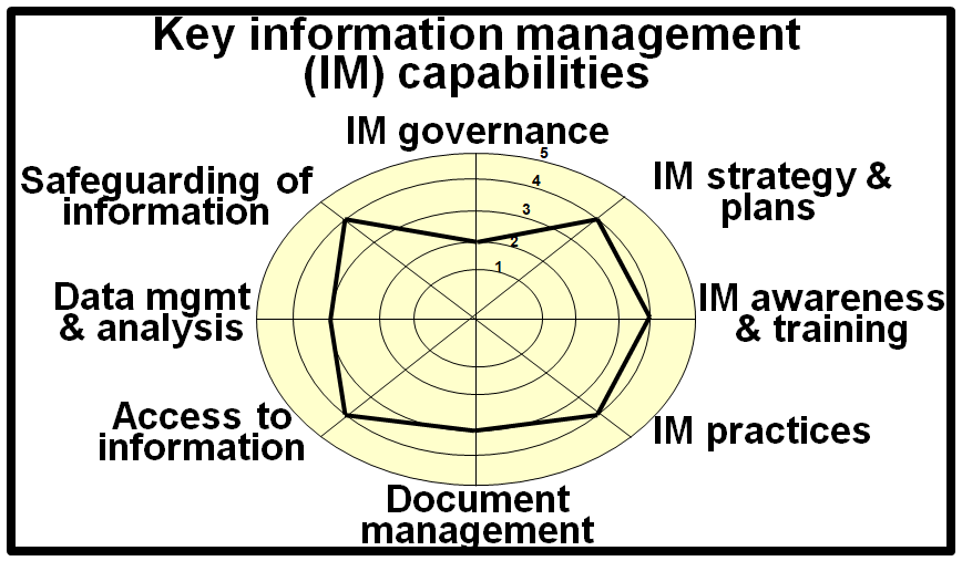 Summary of potential key capabilities for the information management function.